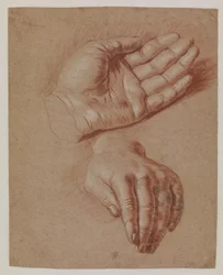 Studies of Two Hands