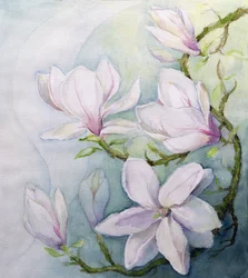Magnolias