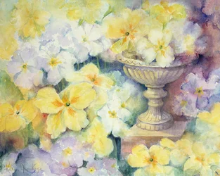 Polyanthus at Hurst