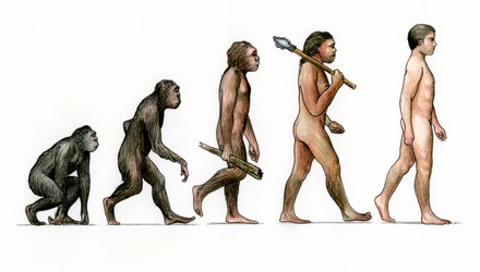 Evolution of Man