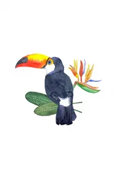 Tropical Toucan and Bloom