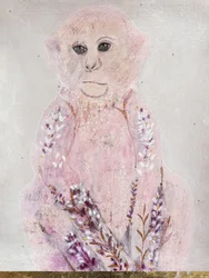 Pink Monkey Lavender