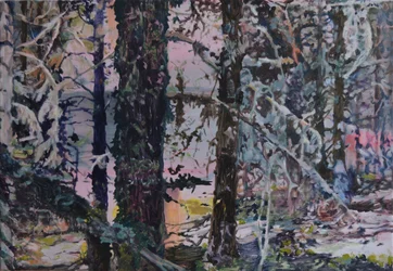 Enchanted Forest Light