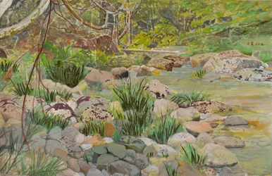 Lush Forest Stream