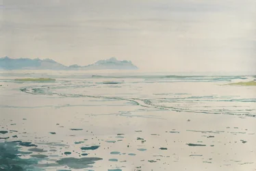 Misty Coastal Landscape