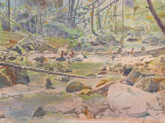 Peaceful Forest Stream