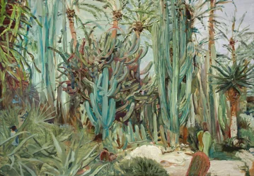 Vibrant Cactus Garden