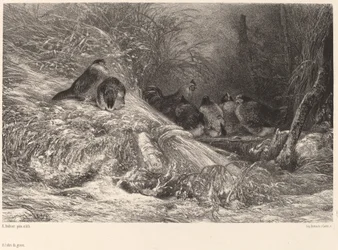 Sheltered from the Frost