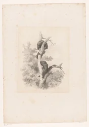 Three Bears in a Tree Landscapes with Animals (series title)