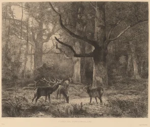 Forest of Fontainebleau