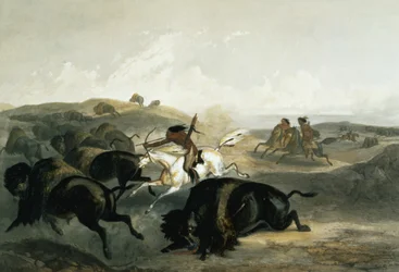 Indians Hunting the Bison, Plate 31 from Volume 2 of 