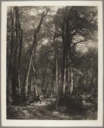 Man in Woods