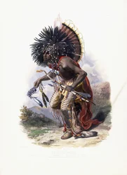Pehriska-Ruhpa, Moennitarri Warrior in the Costume of the Dog Dance