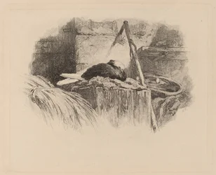Pigeon on a Nest