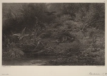 Fox on the Lookout