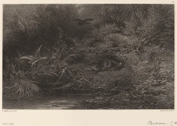Fox on the Lookout