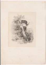 Two Bears in a Tree