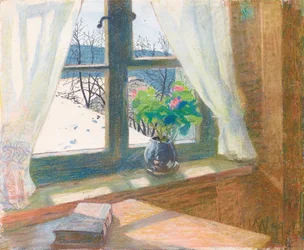 View from the Window