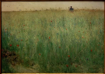Oat Fields near Grez