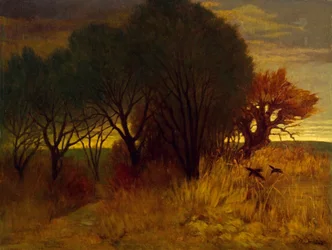 Moorland landscape