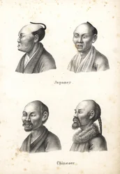 Busts of Japanese men with chonmage topknot hairstyle, and Chinese men with beards, one with pigtail. Lithograph by Karl Joseph Brodtmann from Heinrich Rudolf Schinz