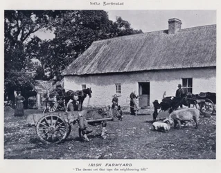 Irish Farmyard