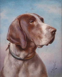 Dog Portrait