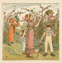 Picking blackberries
