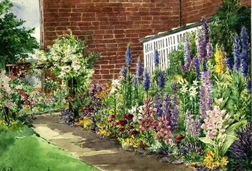 The Flower Border