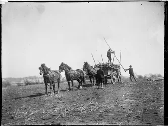 Broomfield, Broomfield And Kingswood, Maidstone, Kent, 06/04/1904