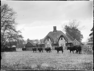 Great Hampden, Great And Little Hampden, Wycombe, Buckinghamshire