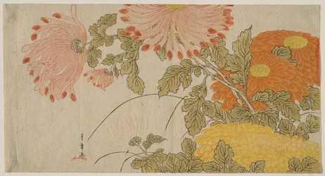 Chrysanthemums, c.1780