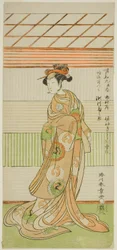 The Actor Segawa Kikunojo II as the Courtesan Maizuru in the Play Furisode Kisaragi Soga, Performed at the Ichimura Theater in the Second Month, 1772