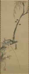 A boy fishing from the limb of a tree, Edo period