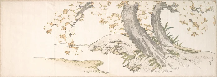 Blossoming Cherry Trees by a Stream