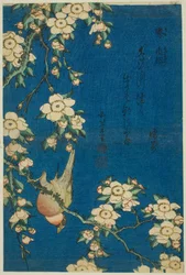 Bullfinch and Weeping Cherry, from an untitled series of flowers and birds