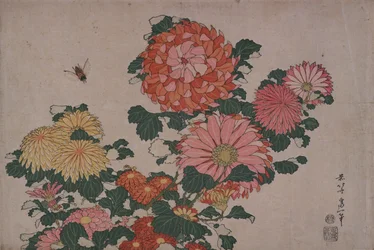 Chrysanthemums and Horse Fly