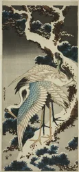 Cranes on Snow-covered Pine