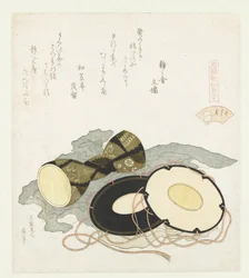 The Plover Shell