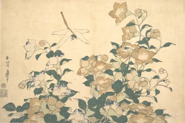 Dragonfly and Bellflower