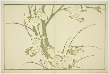 Flowers, from The Picture Book of Realistic Paintings of Hokusai