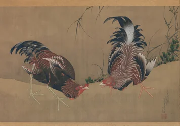 Gamecocks