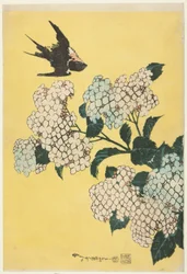 Hydrangea and Swallow, from an untitled series of large flowers