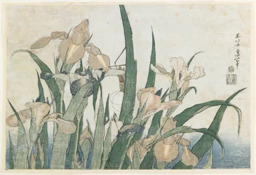 Iris Flowers and Grasshopper, c. 1830-31