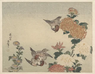 Sparrows and Chrysanthemums