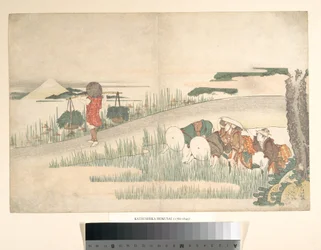 Spring in the Rice Fields