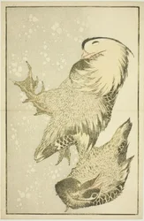 Two Waterfowl, from The Picture Book of Realistic Paintings of Hokusai
