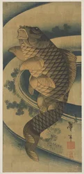 A Carp in a Swirl of Water