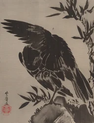 Crow on a Rock