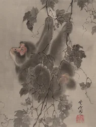Monkey Hanging from Grapevines